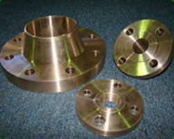 Nickel & Copper Alloy flanges