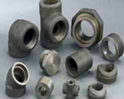 Carbon & Alloy Steel Forged fitting